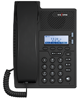 Téléphone IP ES205-P