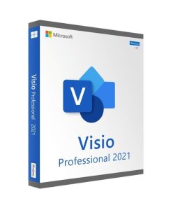 Microsoft Visio 2021 Professionnel